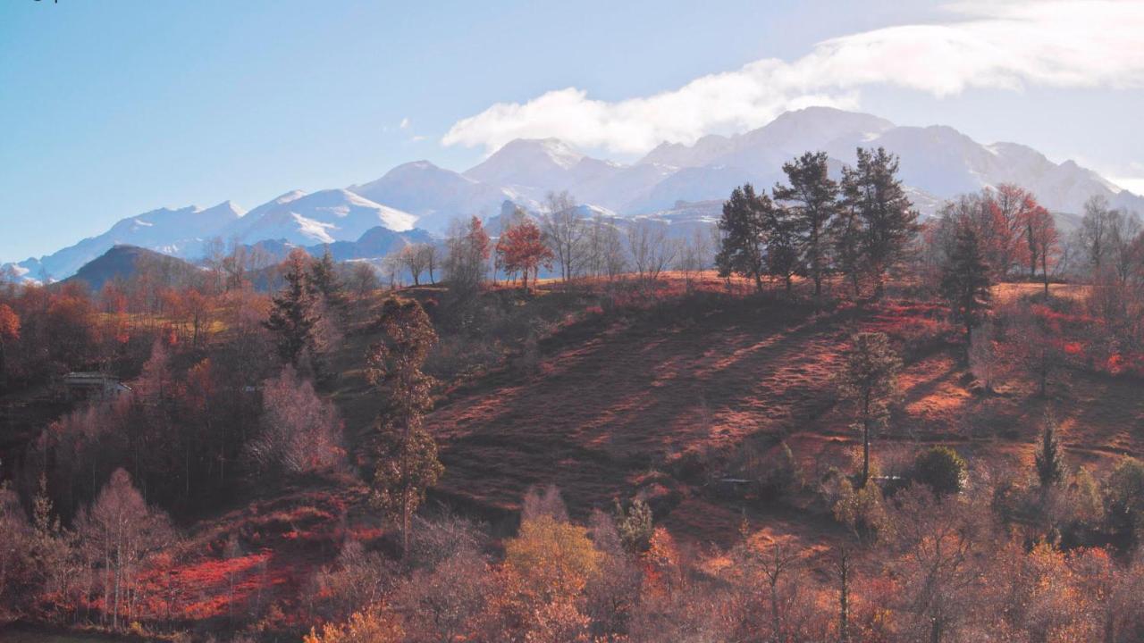 Pulieru - Picos De Europa Views, Designed For All Seasons Cangas de Onis Exterior photo